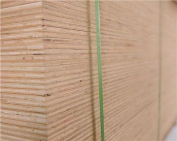 柳桉多層板 柳桉多層板